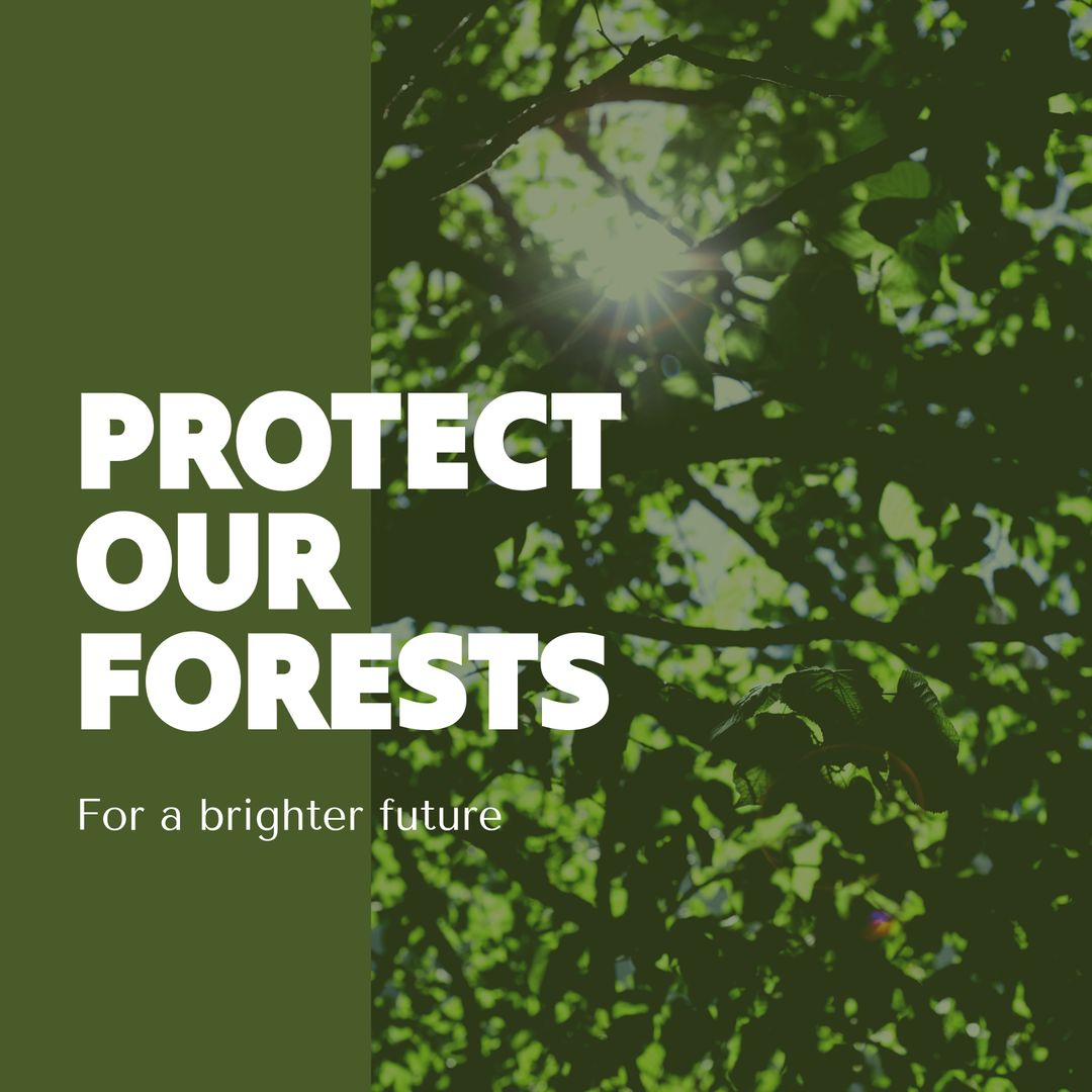 Protect Our Forests Poster with Sunlight through Trees