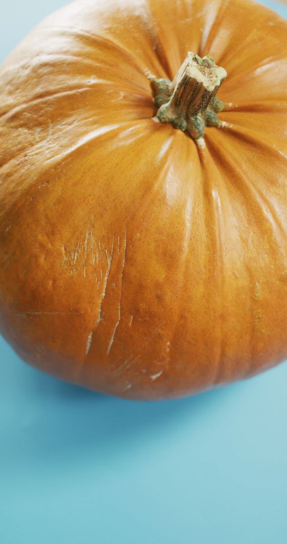 Close-Up of Large Halloween Pumpkin on Blue Background - Free Images, Stock Photos and Pictures on Pikwizard.com