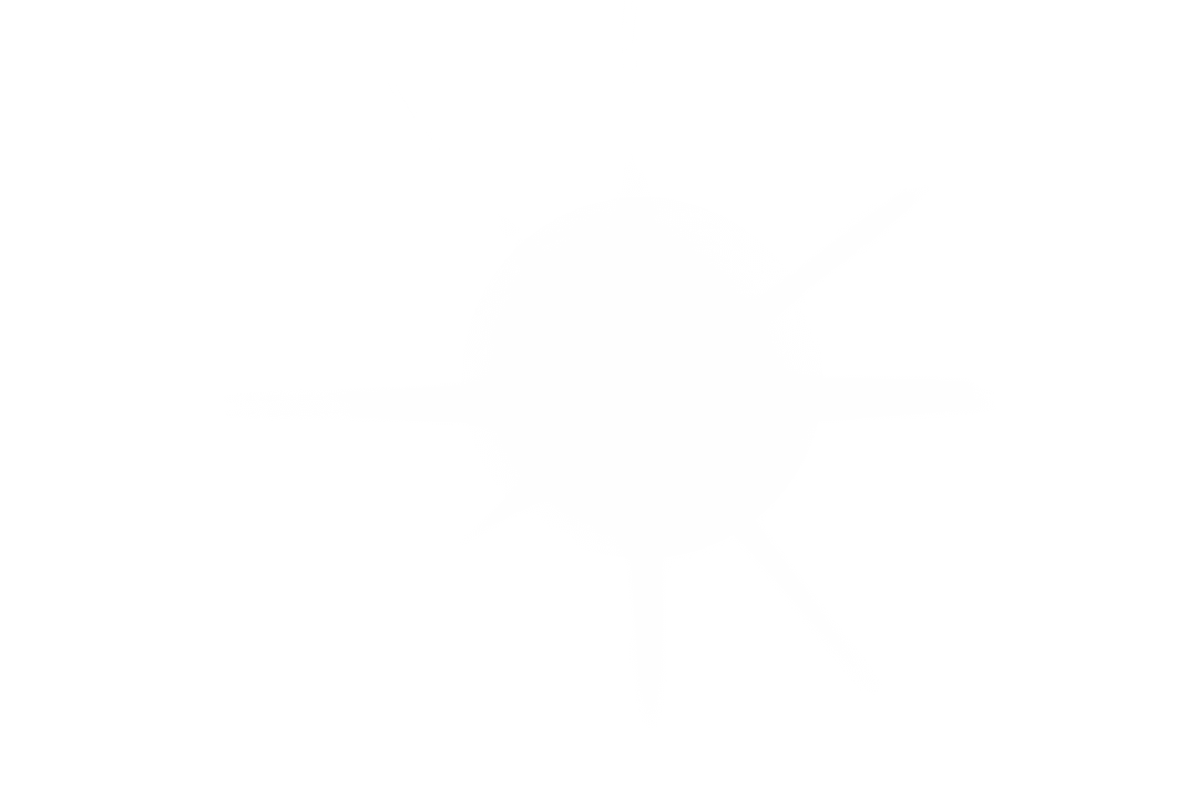 Dynamic Light Trails and Spots Transparent Overlay