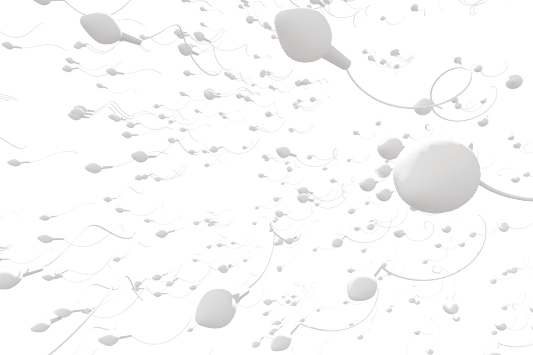 Isolated Moving Human Sperm Cells on Transparent Background