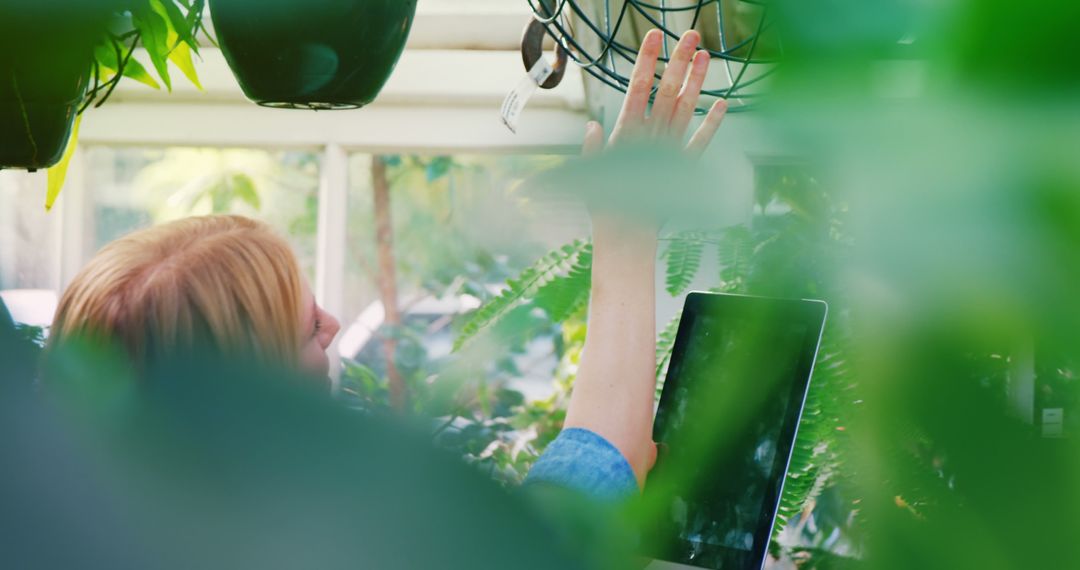 Person Watering Plants in Greenhouse with Tablet - Free Images, Stock Photos and Pictures on Pikwizard.com