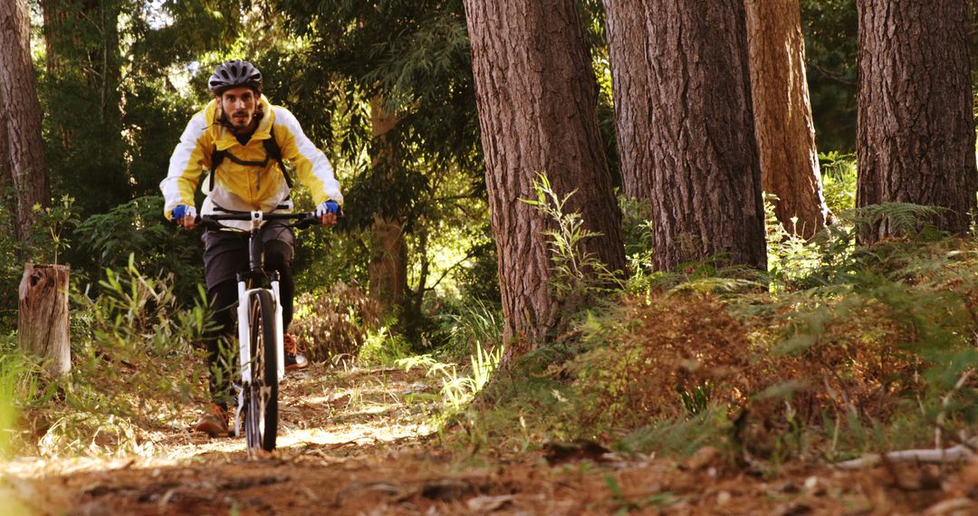 Man Mountain Biking on Forest Trail in Sunlight - Free Images, Stock Photos and Pictures on Pikwizard.com