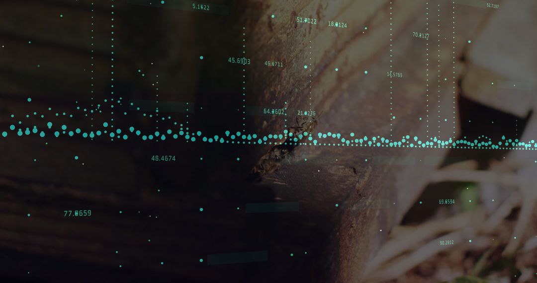 Nature-Inspired Data Visualization on Weathered Wooden Beam