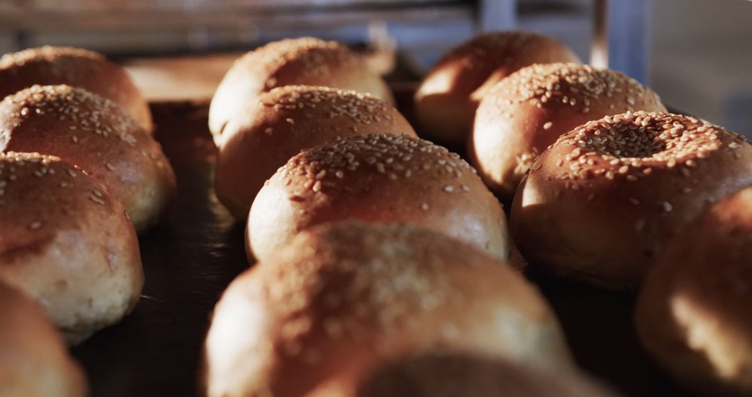 Freshly Baked Bagels with Sesame Seeds in Bakery - Free Images, Stock Photos and Pictures on Pikwizard.com