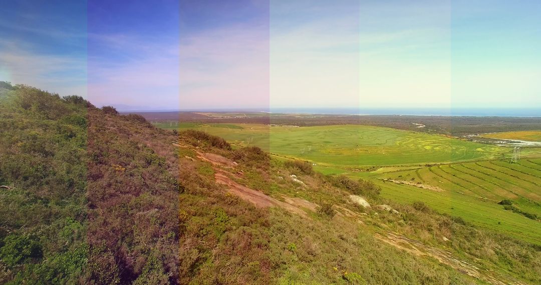 Color Graded Layers on Lush Grassland