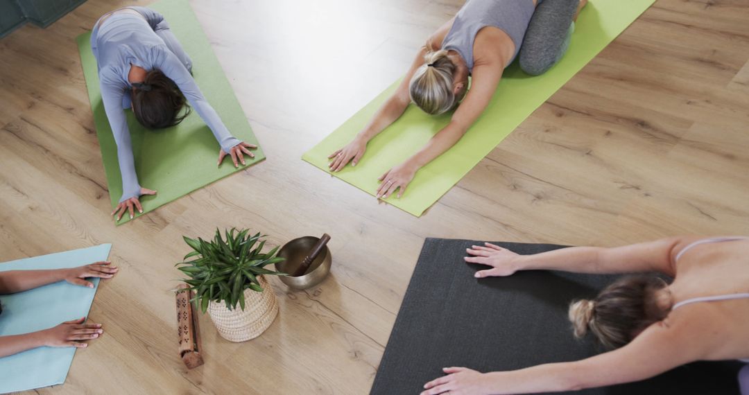 Group of Women Practicing Child's Pose in Yoga Class - Free Images, Stock Photos and Pictures on Pikwizard.com