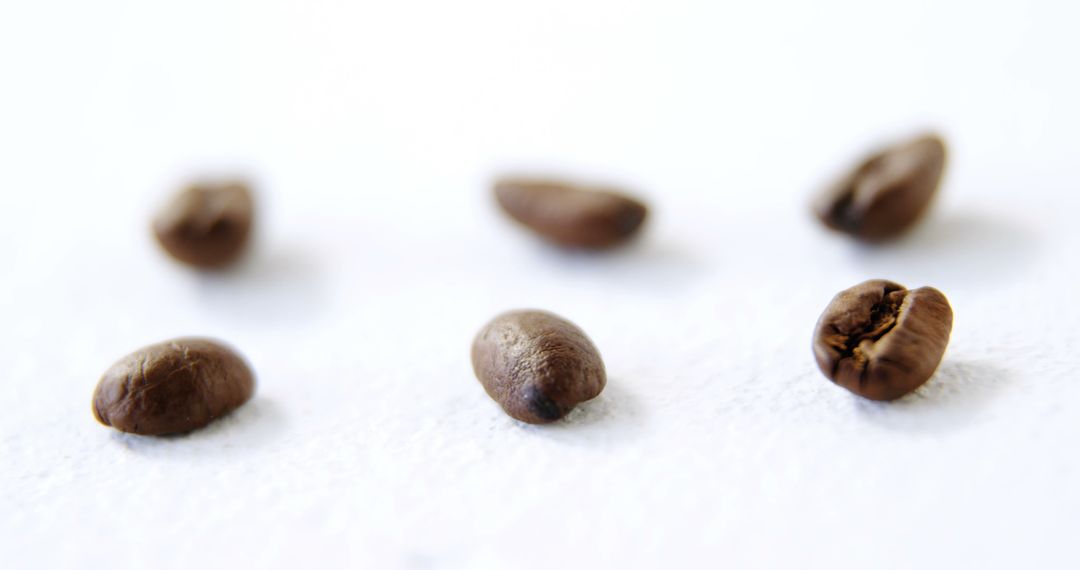 Close-Up of Coffee Beans on White Background - Free Images, Stock Photos and Pictures on Pikwizard.com