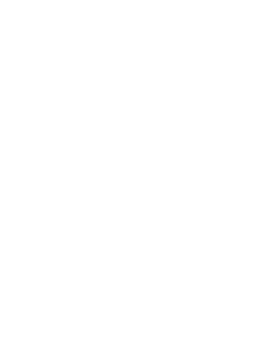 Martial Artist Kick Transparent PNG Silhouette - Download Free Stock Images Pikwizard.com