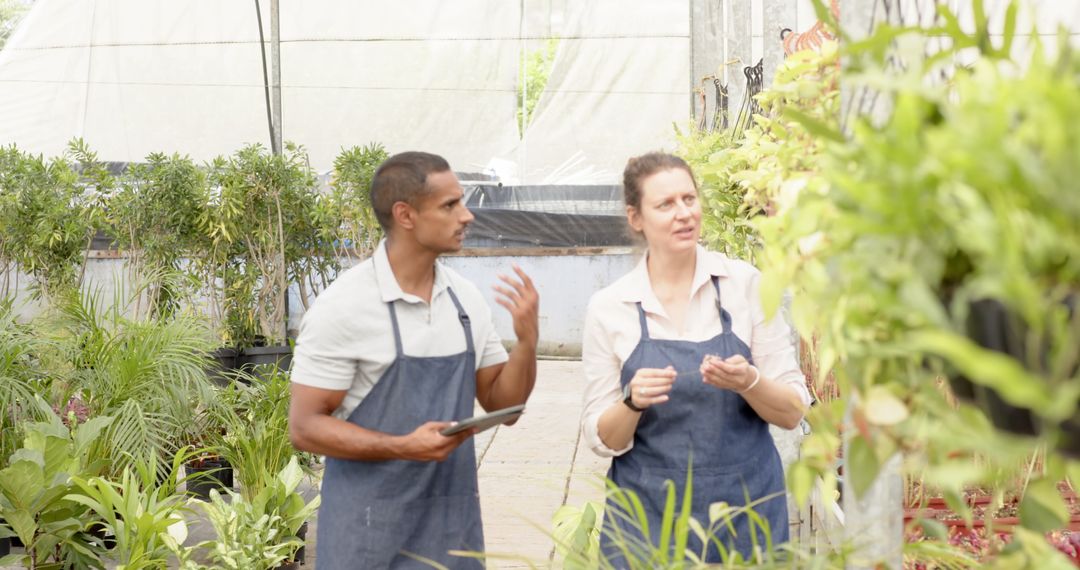 Collaborative Plant Inspection in Greenhouse Setting