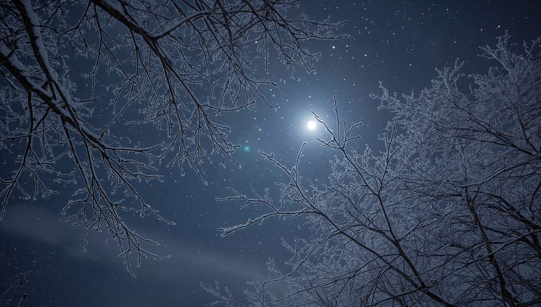Framing Full Moon Glowing Through Frosted Branches on Starry Blue Winter Night