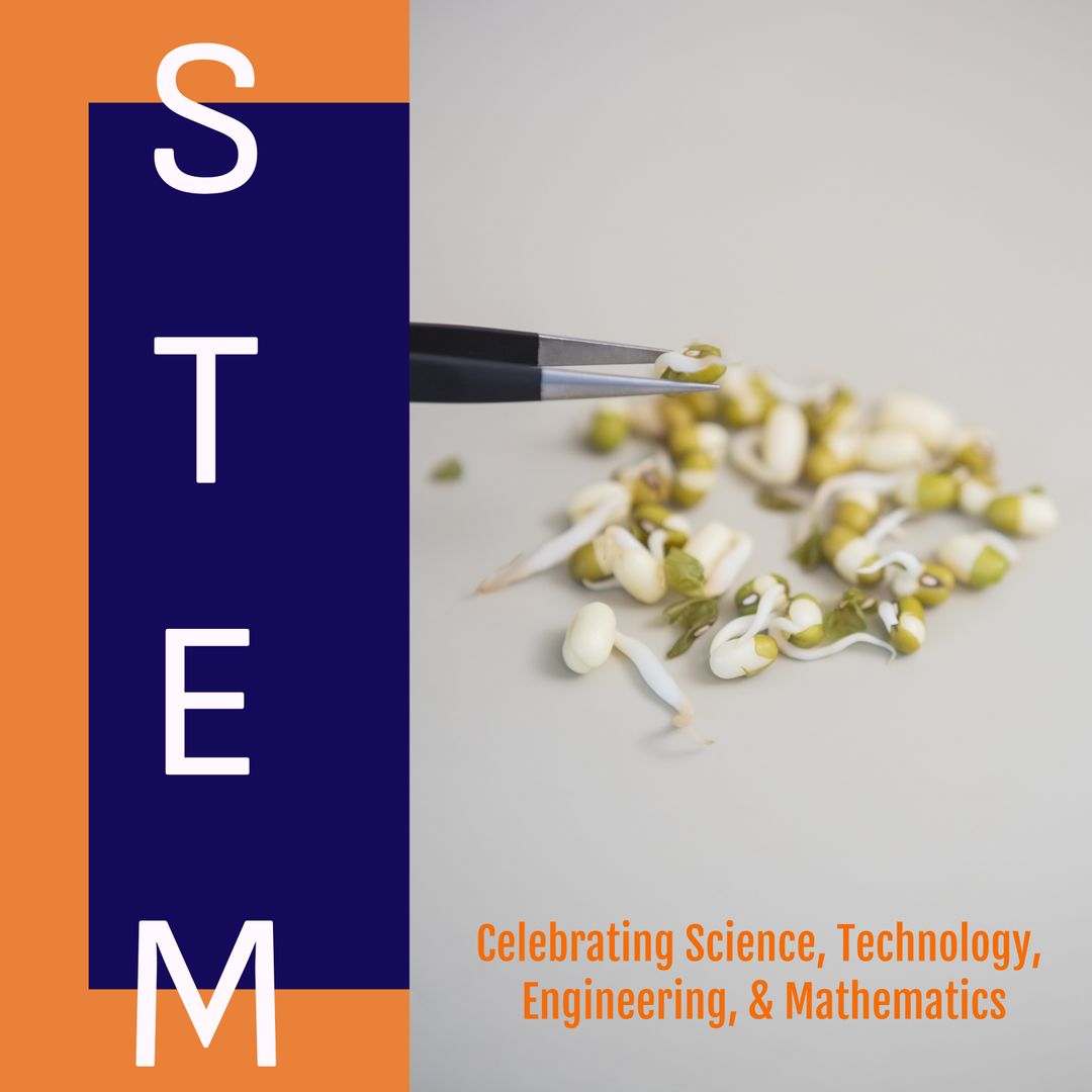 Celebrating STEM Education With Sprouts and Research Tools