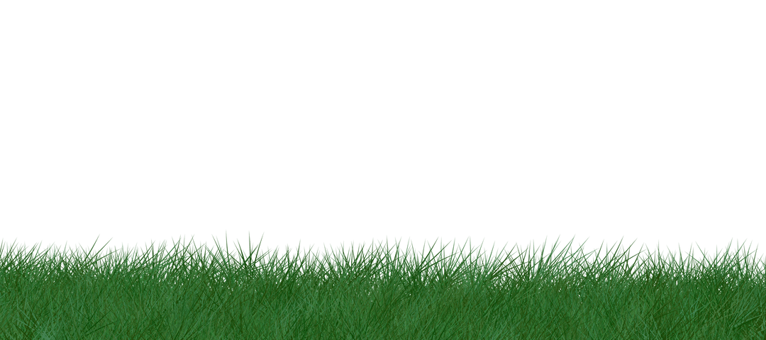 Green Grass on Transparent Background Illustration for Natural Designs
