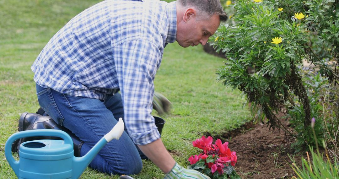 Man Planting Flowers in Garden Beside Blooming Shrubs - Free Images, Stock Photos and Pictures on Pikwizard.com