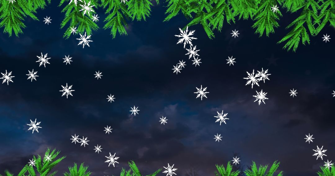 Winter Night Sky with Falling Snowflakes and Tree Branches
