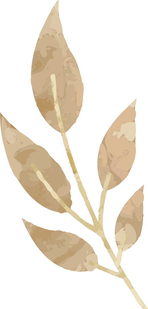 Transparent Watercolor Branch with Delicate Mottled Leaves