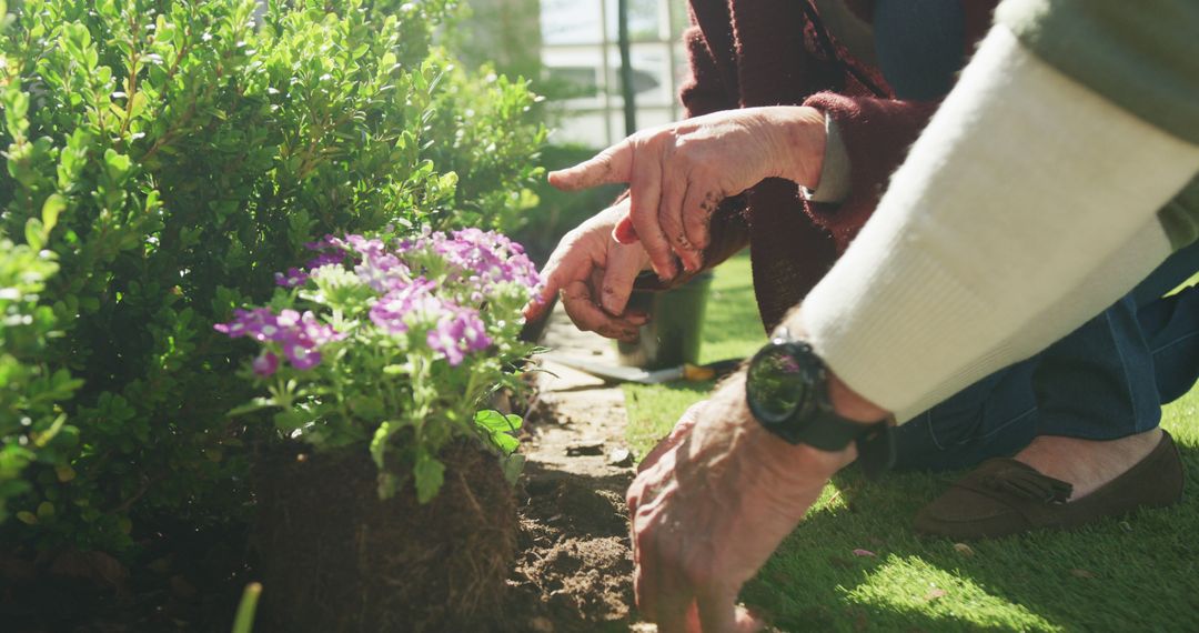 Senior Couple Gardening Together Planting Flowers - Free Images, Stock Photos and Pictures on Pikwizard.com