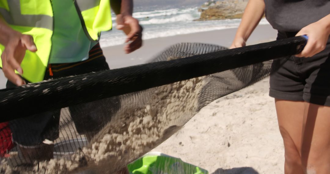 Volunteers Cleaning Beach with Sand Sifting Nets - Free Images, Stock Photos and Pictures on Pikwizard.com