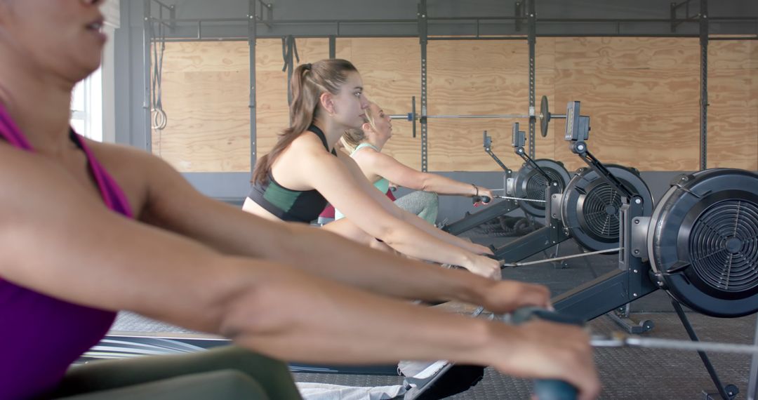 Focused Women Rowing on Machines in Gym Setting - Free Images, Stock Photos and Pictures on Pikwizard.com