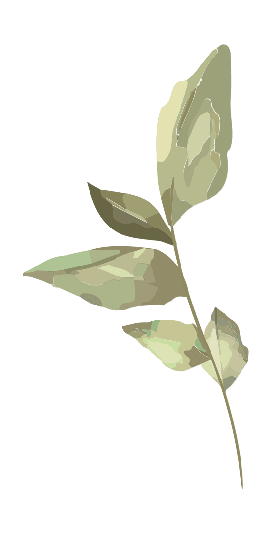 Minimalist Transparent Leafy Sprig Illustration for Eco Designs