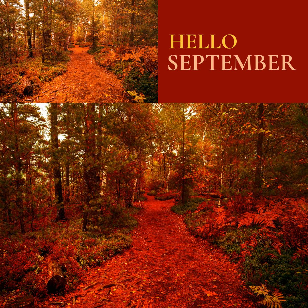 Autumn Forest Path with September Greeting Text - Download Free Stock Templates Pikwizard.com