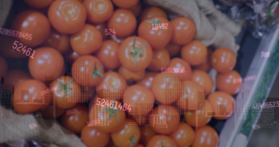 Digital Financial Data Processing Over Fresh Produce