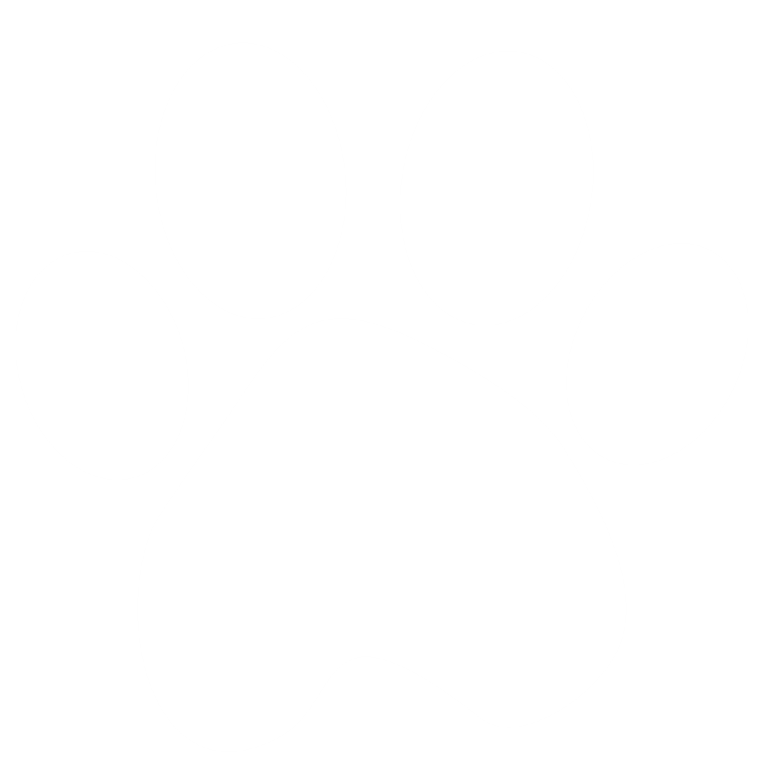 Animal Paw Print on Transparent Background for Minimalist Designs