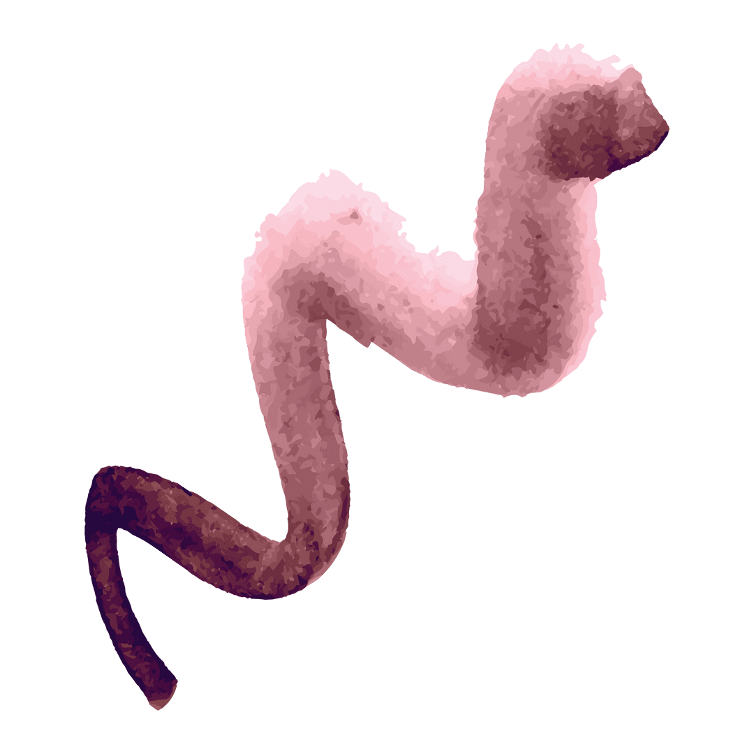 Twisting Abstract Shape on Transparent Background