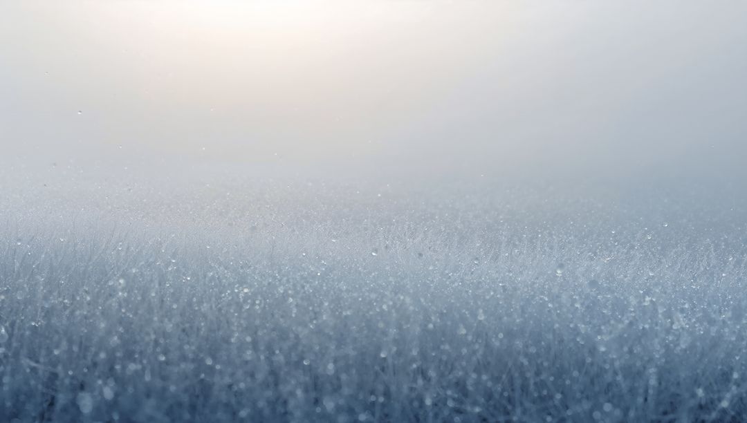 Sparkling frost covering meadow grass with dewdrops, misty dawn glow and soft bokeh