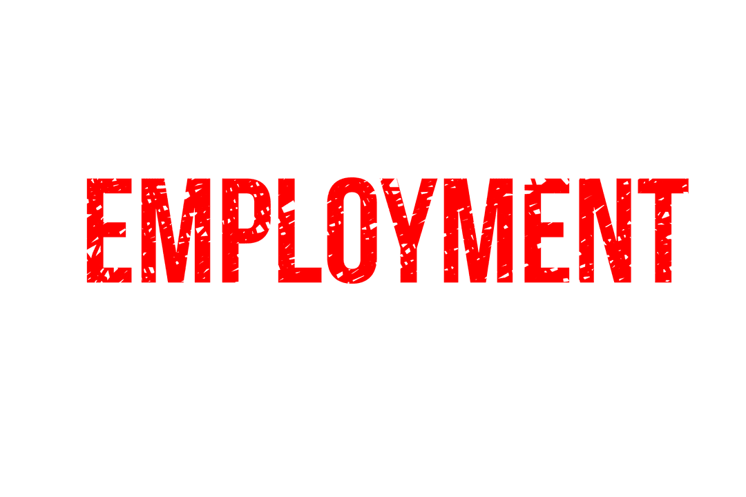Bold Red Employment Text on Transparent Background Vector
