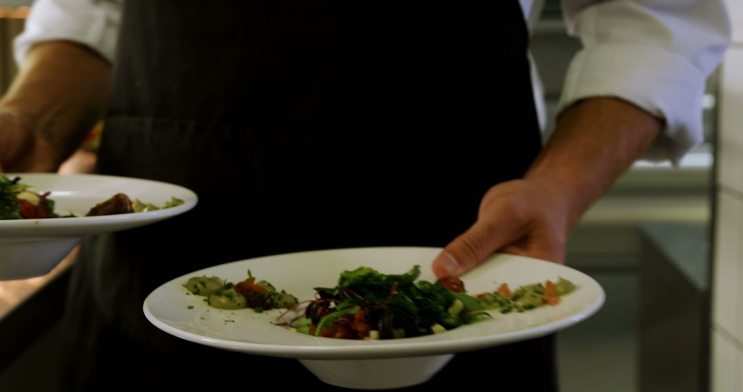 Waiter Serving Gourmet Food on Plates - Free Images, Stock Photos and Pictures on Pikwizard.com