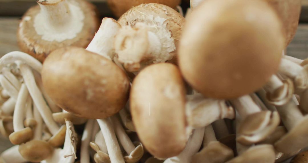 Assorted Fresh Mushrooms on Wooden Table for Cooking