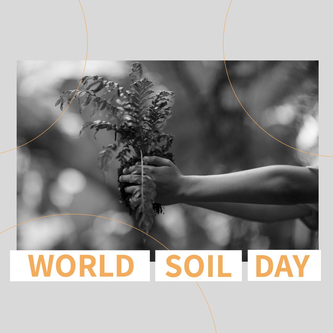 Celebrating World Soil Day with Young Hands Holding Plant