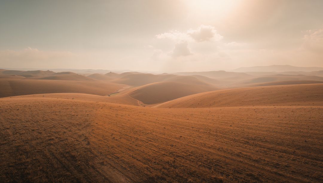 Golden Rolling Hills at Sunset Showing Sunlit Arid Fields and Gentle Curving Tracks