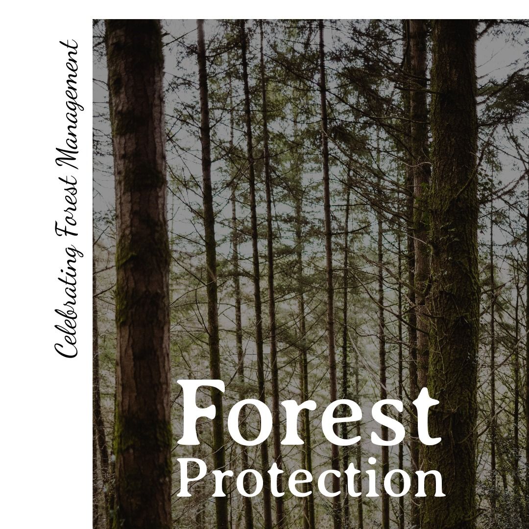 Forest Conservation Message with Dense Tree Background - Download Free Stock Templates Pikwizard.com