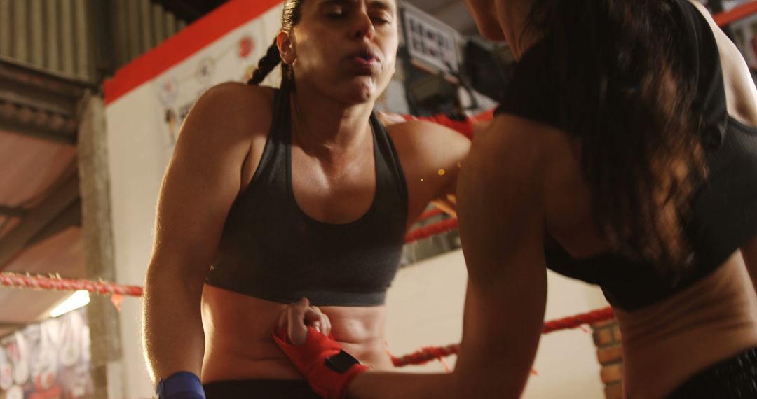 Two Female Boxers Sparring in a Gym Ring - Free Images, Stock Photos and Pictures on Pikwizard.com