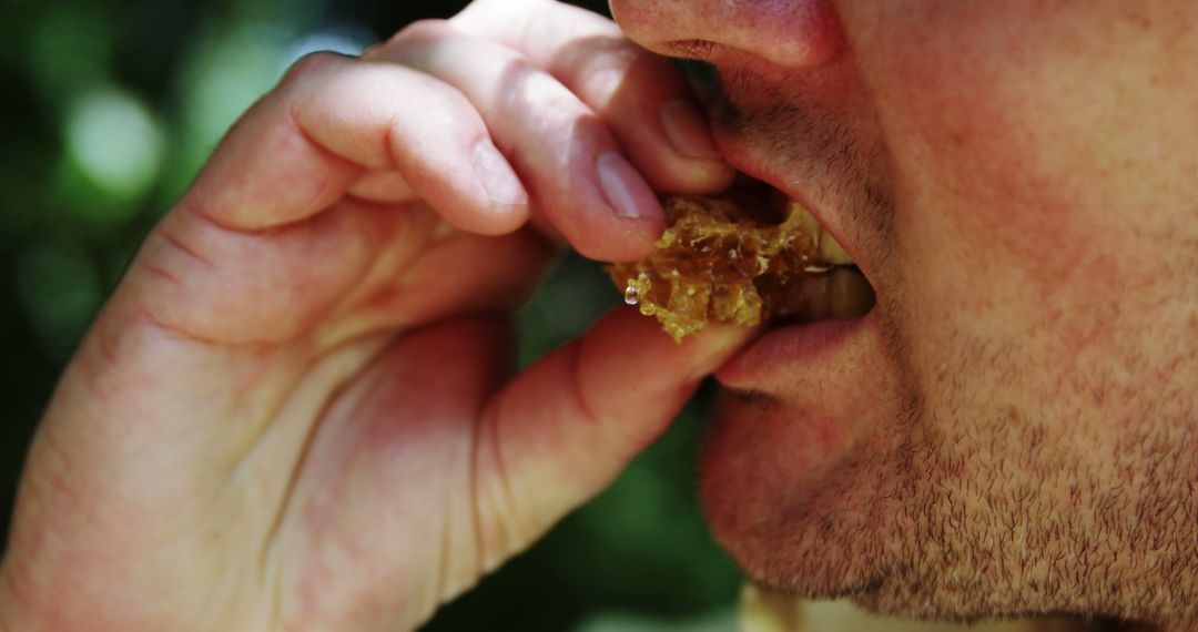 Man Eating Fresh Honeycomb Close-Up Outdoors - Free Images, Stock Photos and Pictures on Pikwizard.com