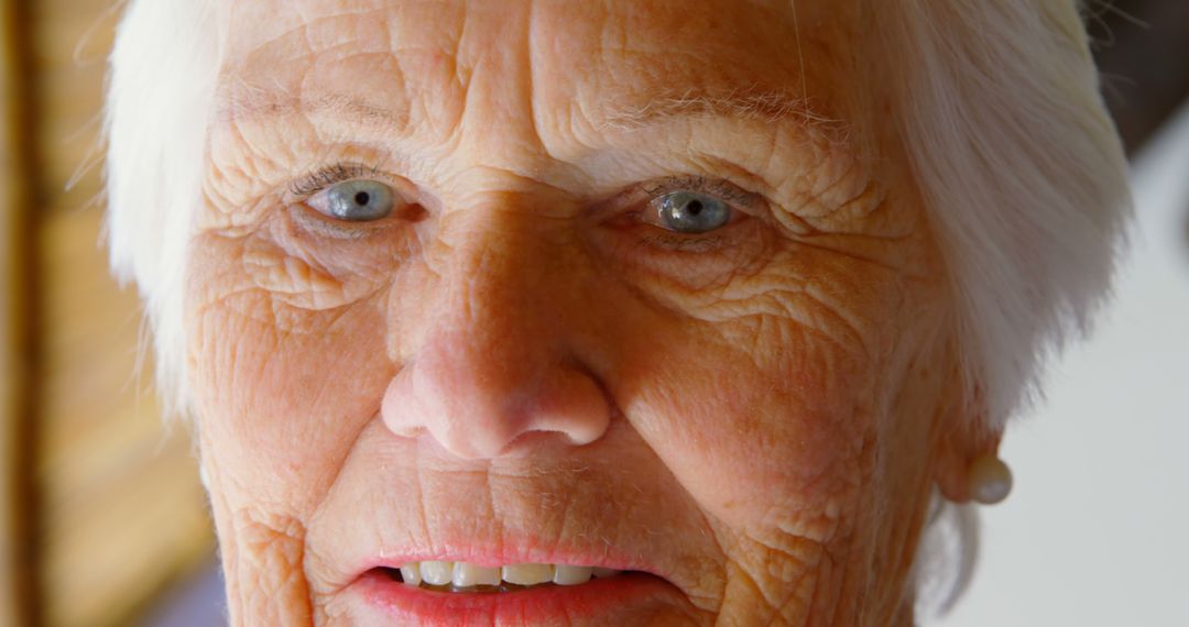 Close Up of Elderly Woman with White Hair and Blue Eyes - Free Images, Stock Photos and Pictures on Pikwizard.com