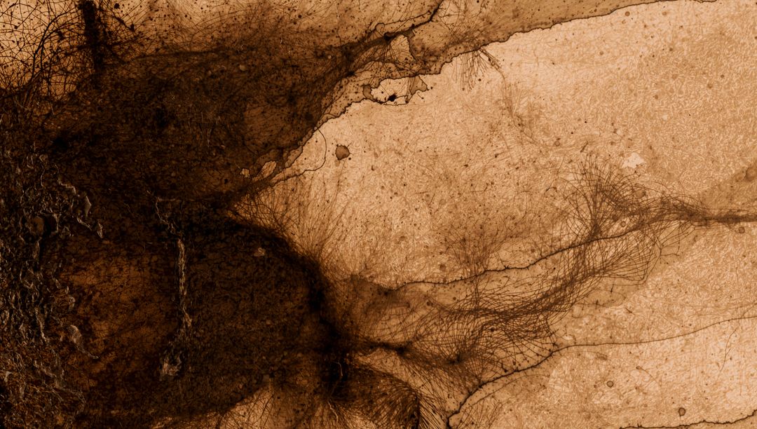 Dark mass radiating filamentous strands across sepia porous crusty texture