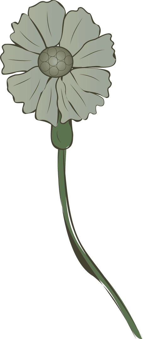 Stylized Green Flower Illustration, Transparent Background