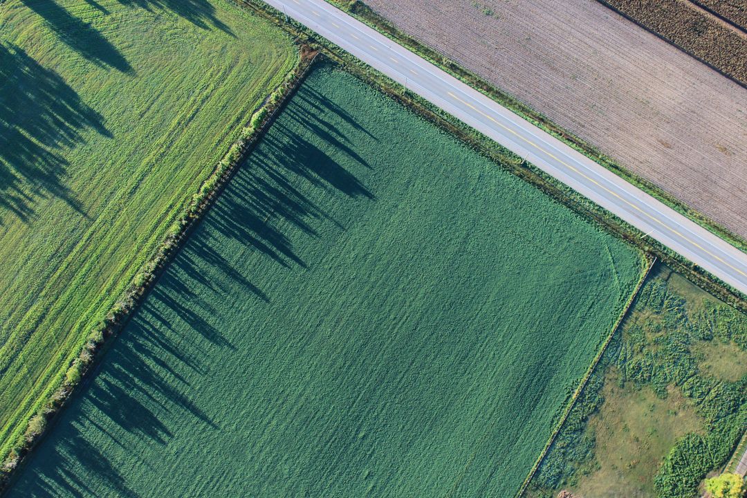 Aerial View of Lush Green Agricultural Fields with Road - Free Images, Stock Photos and Pictures on Pikwizard.com