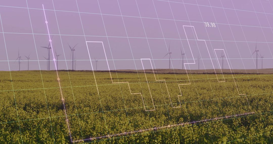 Overlaying Wind Farm and Graph over Flowering Crop Field