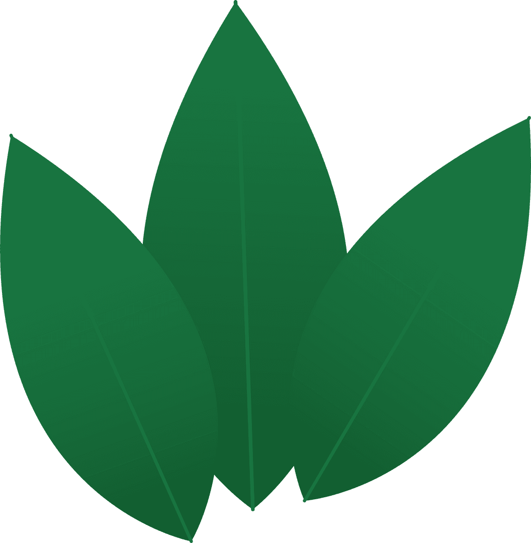 Stylized Green Leaf Trio on Transparent Background