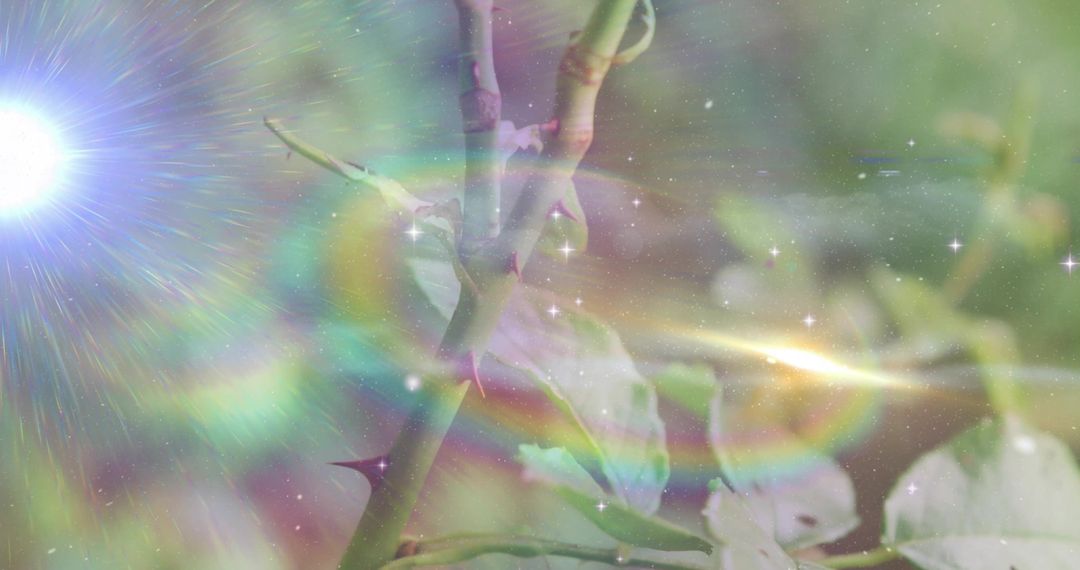 Thorny Stems with Vibrant Rainbow Flares and Star Sparkles