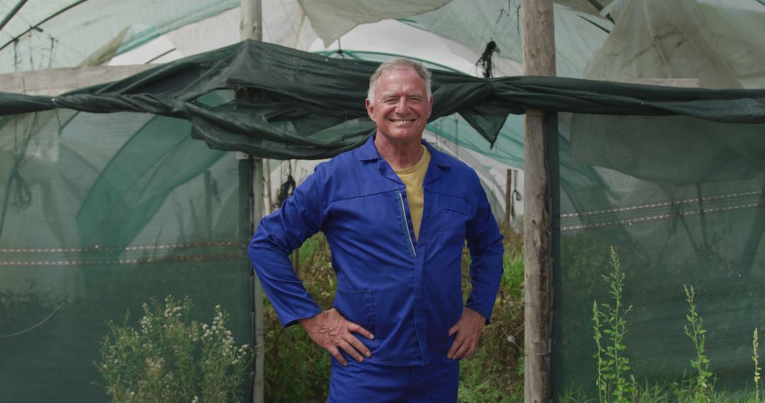 Happy Senior Farmer in Blue Workwear Standing in Greenhouse - Free Images, Stock Photos and Pictures on Pikwizard.com