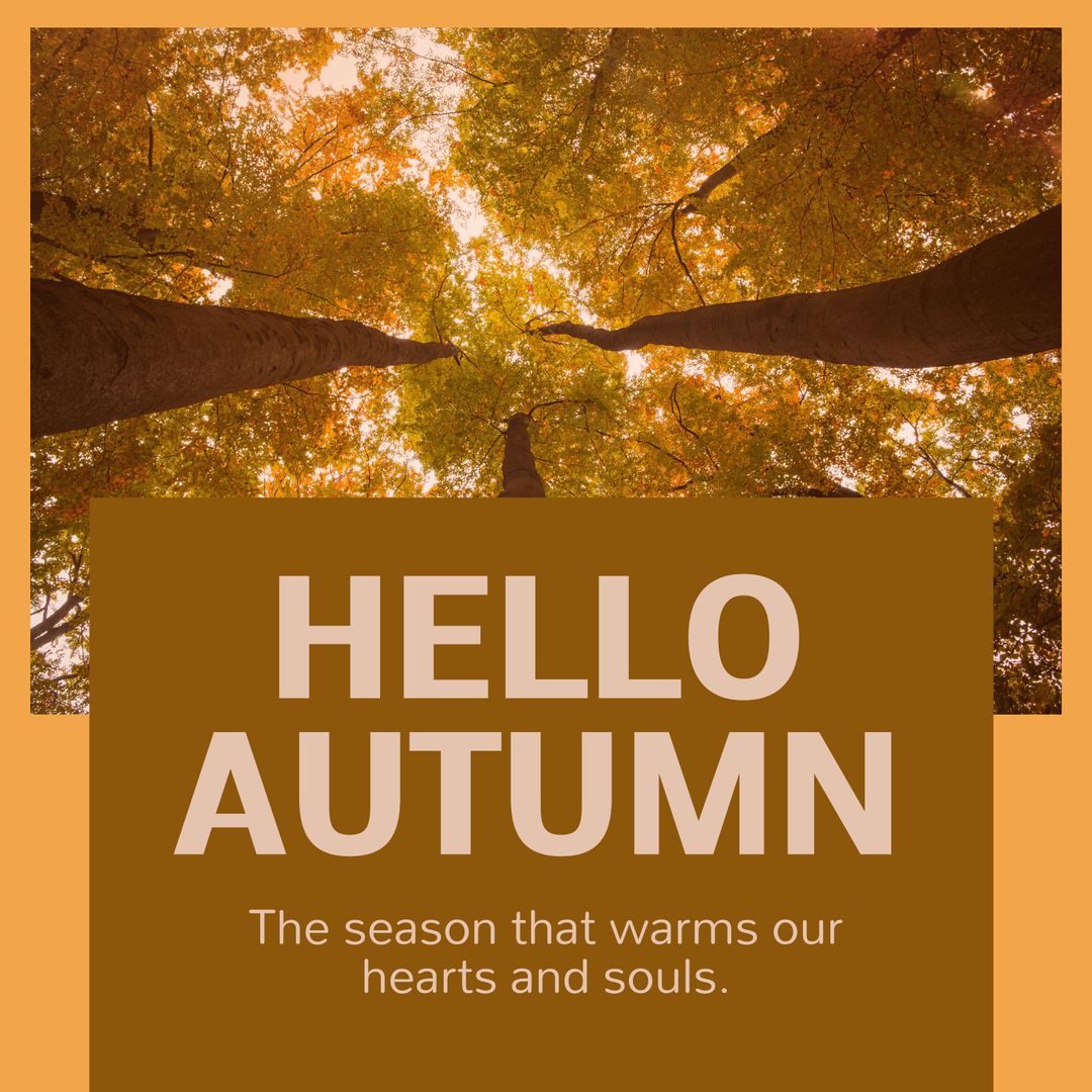 Autumn Forest Greeting with Inspirational Text Message - Download Free Stock Templates Pikwizard.com