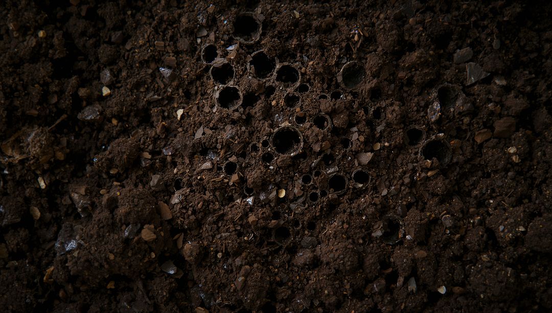 Macro Closeup Revealing Dark Soil with Clustered Circular Burrows and Pebble Texture