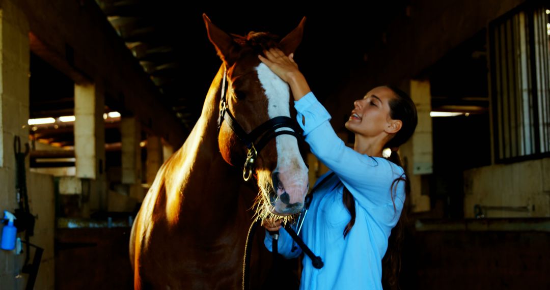 Woman Grooming Horse in Warmly Lit Stable - Free Images, Stock Photos and Pictures on Pikwizard.com