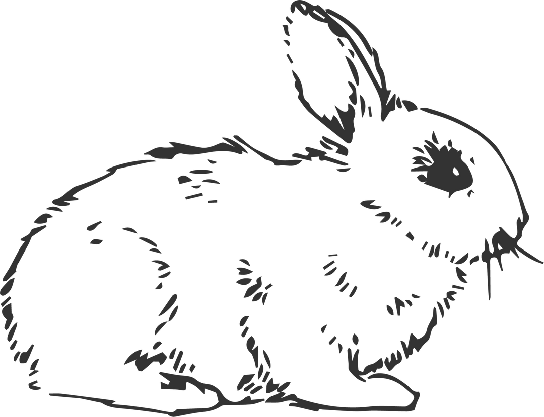 Hand-Drawn Black Rabbit Illustration on Transparent Background - Download Free Stock Images Pikwizard.com