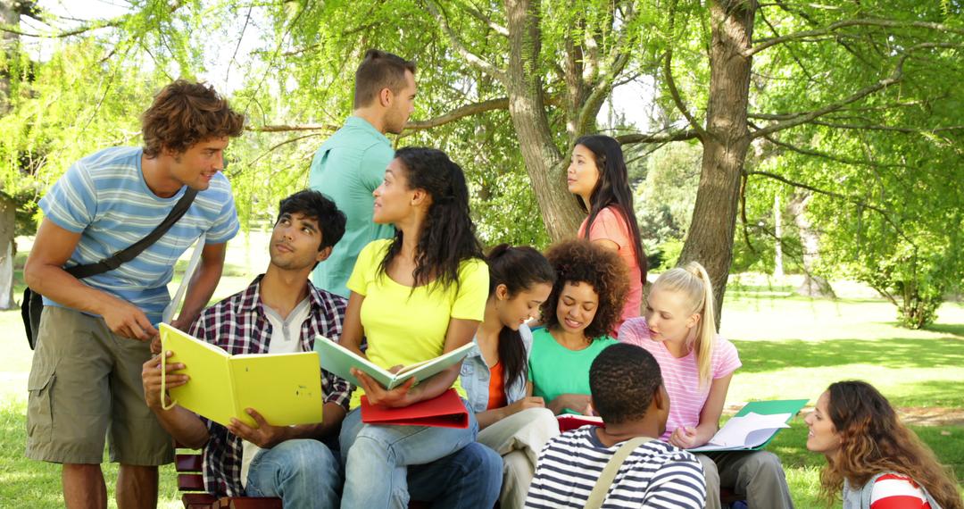 Diverse Group of Students Studying Together Outdoors in Park - Free Images, Stock Photos and Pictures on Pikwizard.com