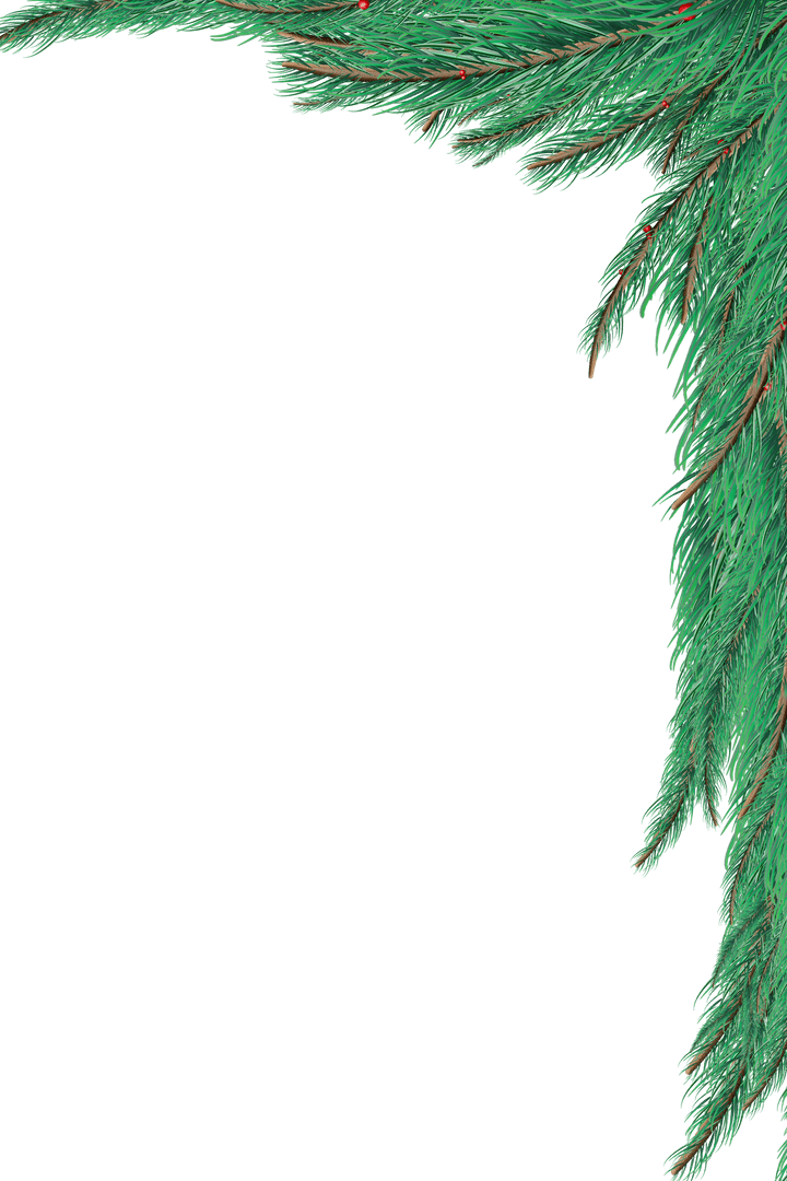 Transparent Evergreen Branch Border Corner Design